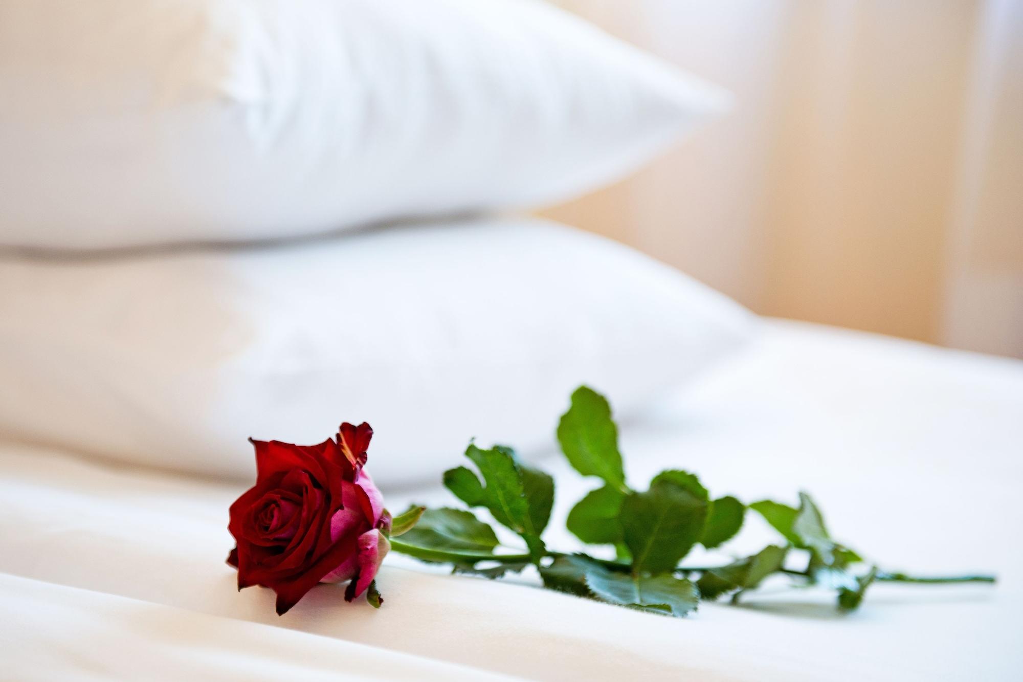 Best Baltic Hotel Паланга Екстер'єр фото